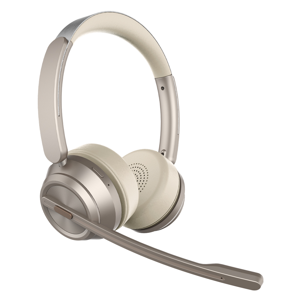 Professional Business Headset
