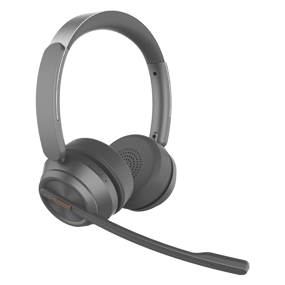 Professional Business Headset